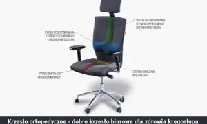 Jak ustawić krzesło biurowe, by uniknąć bólu pleców i poprawić komfort