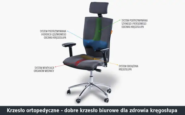 Jak ustawić krzesło biurowe, by uniknąć bólu pleców i poprawić komfort